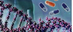 analise-de-dna-manaus-1373386776