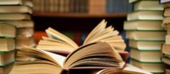 biblioteca-manaus-1373305216