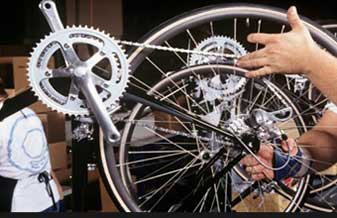 Amazon Bike - Foto 1