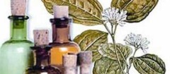 farmacias-de-homeopatia-manaus-1373391354