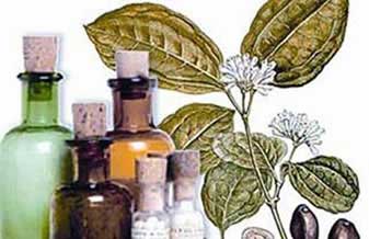 Homeopatia da Amazônia Farmácia e Laboratório - Foto 1
