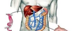 gastroenterologia-e-gastroenterologistas-manaus-1373391664