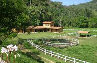 Haras e Centro Hipico Amazon Equus - Foto 1