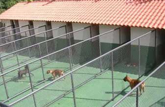Vet Clinica - Foto 1