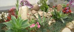jardinagem-manaus-1373300819