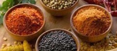 produtos-naturais-e-fitoterapicos-manaus-1373393971