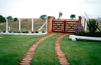 Fazenda São Pedro - Foto 1