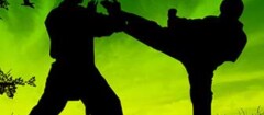 tae-kwon-do-manaus-1373316756