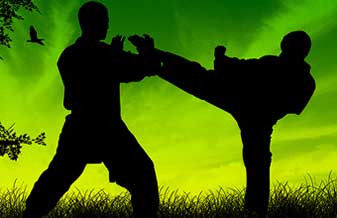Federação Amazonense de Tae Kwon do Interestilos - Foto 1