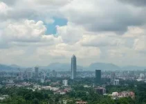 Bolsa de Carbono Verde