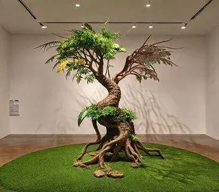 Amazonas meu amor
