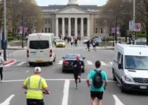 segurança no trânsito