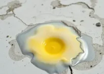 exposição ao estireno