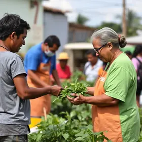 mutirão em Manaus