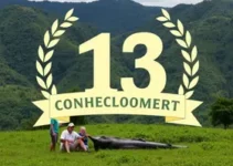 Oca do Conhecimento Puraquequara