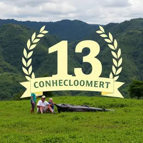 Oca do Conhecimento Puraquequara