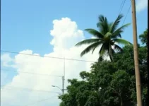 ABC antecipa adaptação em Manaus