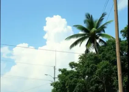 Últimas notícias de Manaus