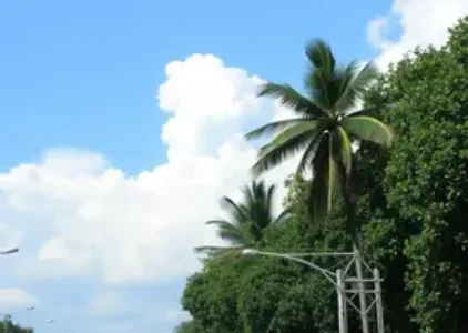 Últimas notícias de Manaus