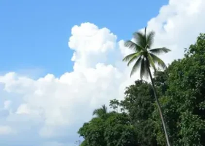 Últimas notícias de Manaus