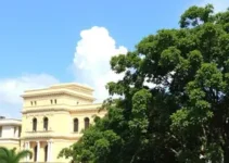 mestrado em educação