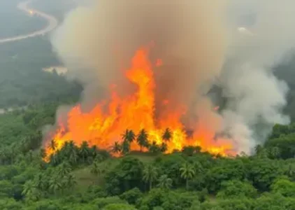 Últimas notícias de Manaus