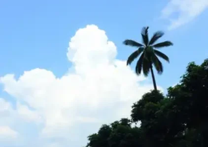 Últimas notícias de Manaus
