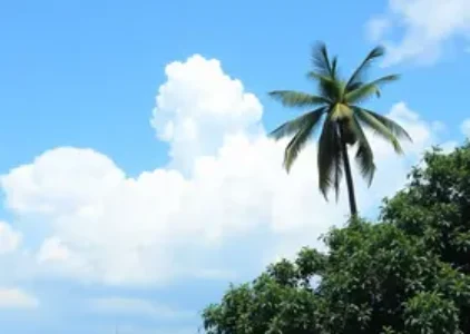 Últimas notícias de Manaus
