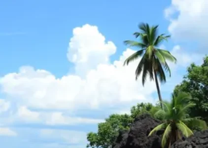 Últimas notícias de Manaus