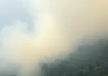 queimadas Amazonas