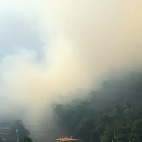queimadas Amazonas
