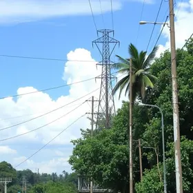 Procon Manaus