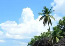 vagas de emprego em Manaus