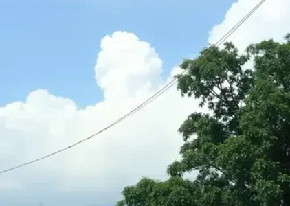 Últimas notícias de Manaus