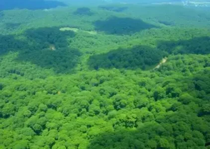 Últimas notícias de Manaus