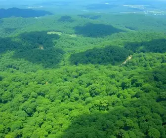 desmatamento em áreas protegidas