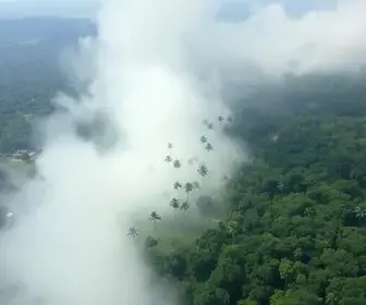 queimadas