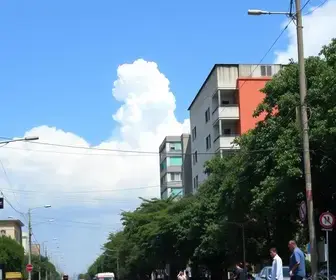 Manaus apuração eleições 2026