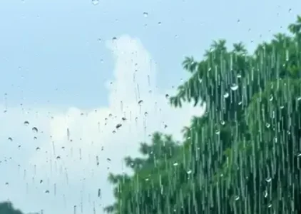 Últimas notícias de Manaus