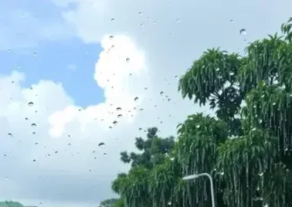 Últimas notícias de Manaus