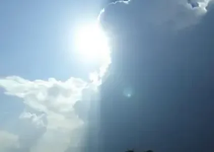Últimas notícias de Manaus