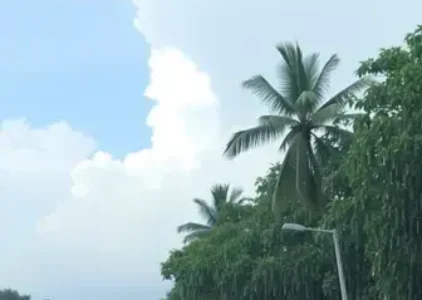 Últimas notícias de Manaus