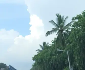 previsão do tempo em Manaus