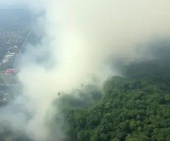queimadas no Amazonas