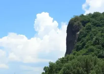 Últimas notícias de Manaus