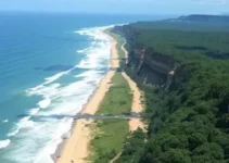 Sine Manaus