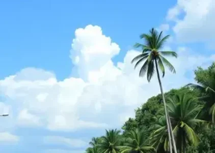 Últimas notícias de Manaus