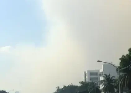 Últimas notícias de Manaus